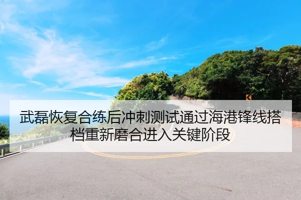 武磊恢复合练后冲刺测试通过海港锋线搭档重新磨合进入关键阶段